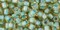 Toho 6/0 Round Japanese Seed Bead, #952, Inside Color AB Light Topaz/Sea Foam Lined, 20 grams